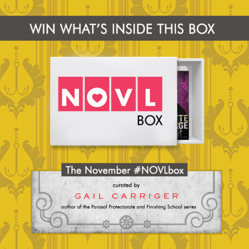 thenovl:The November NOVLbox Back by popular demand, our Finishing School author/instructor, @gail