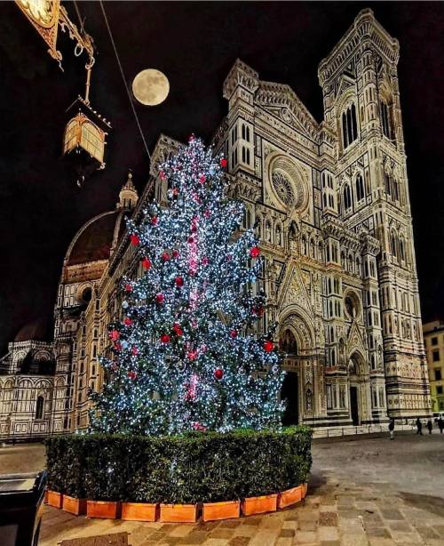 legendary-scholar:  Duomo di Firenze, ready for the Festivities. Image by @francescabologni