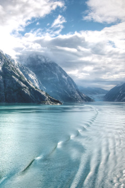 wavemotions:  Tracy Arm Fjord, AK