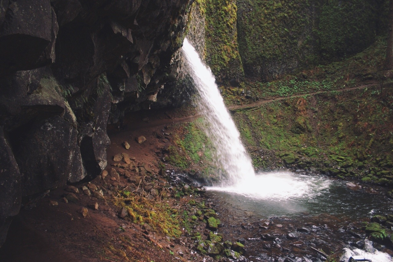 vhord:  eartheld:  automaticallyoutstanding:  Horsetail Falls |   March 22, 2015