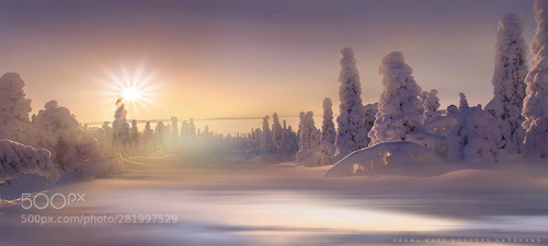 ~ Golden winter sun ~ by jmatz