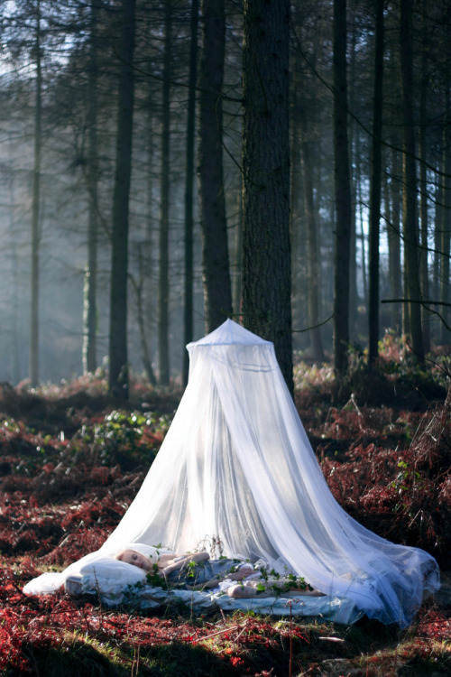 dearscience:  in a fairytale by francesca-jane 