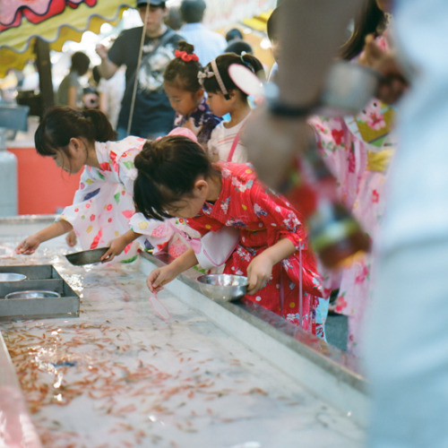 fuckyeahjapanandkorea:  Little flowers by harao_ 