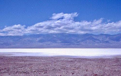Horizontals, Badwater, Death Valley National Monument (now National Park), California, 1977.