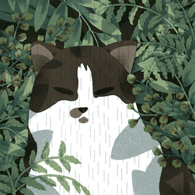 Cbox2 Tumblr Gallery Cbox2 Tumblr Gallery