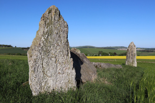 Balquhain Recumbent Stone Circle, Aberdeenshire, 27.5.18.This recumbent stone circle occupies a fant