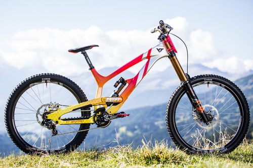 aces5050: (via Part 2: Custom World Champs Bike Gallery - Lenzerheide DH World Champs 2018 - Pinkbik
