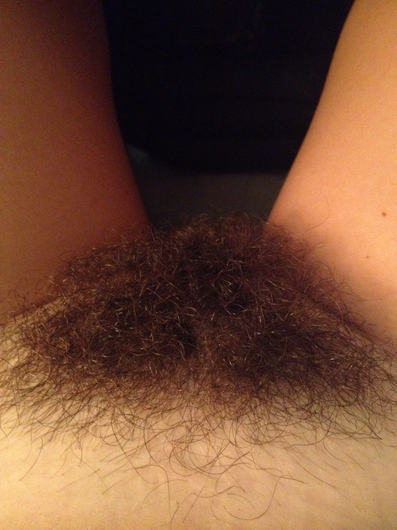 fullbushlove:  britumb823:  11 months ago my girlfriend had a shaved vagina. This