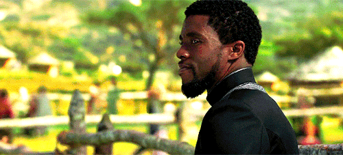 theavengers:  Wakanda will no longer watch from the shadows. We can not. We must not. We will work t