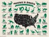 Monsters in America: A cryptozoological map of the United States