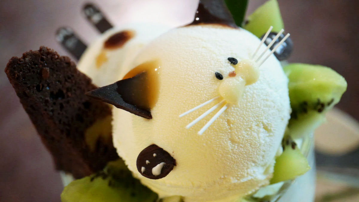 goodpicturesthatilike:  (via かわいすぎるネコがつぶらな瞳で見つめてくる「初恋にゃんこパフェ」を食べてきた