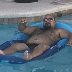 dacub:  Gotta get some pool time in. #bearsofinstagram