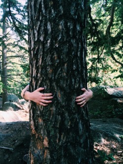 upclosefromafar:  wilderness-queen:  lots of nature and good vibes ॐ  ~My Hidden Nirvana~