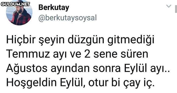 Hiçbir şeyin düzgün...