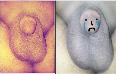 tinydickfatty:  awwwww, poor little button dick!!