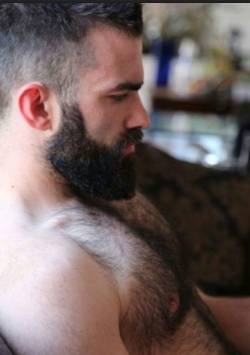 thebearunderground:  The Bear Underground Archive28,000+ posts of the hottest hairy men around the globe
