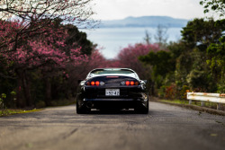 thejdmculture:  Sakura Supra by Through These Eyes Photography on Flickr.