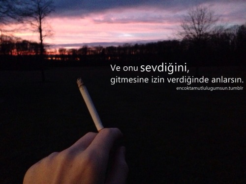 Singularis