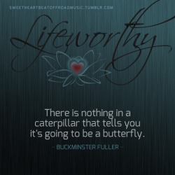 sweetheartbeatoffroadmusic:  BUTTERFLY. More in this series: Lifeworthy or visit my blog! GAY 18+ ONLY. 
