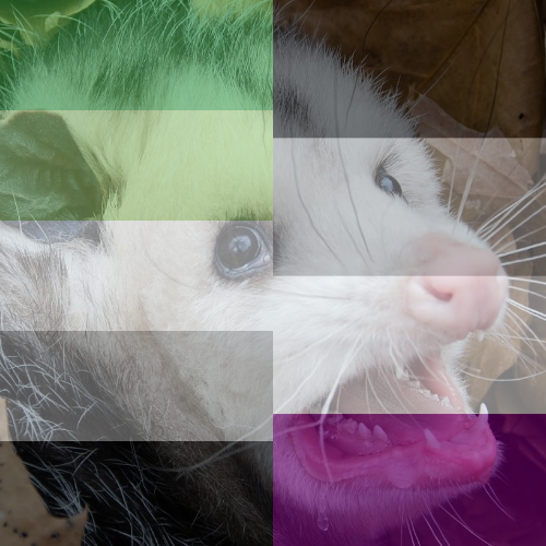 From left to right starting at the top row: Aro/Ace, Bigender, Bigender/Polyamourous/Bi, Demisexual/
