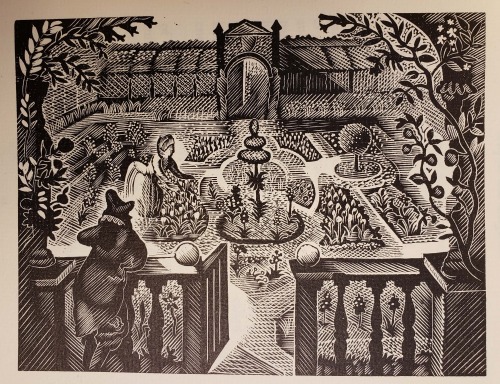 Wood engraving by John O’Connor, after an original in the Hortus floridus by Crispin de Pass, 1614Fr