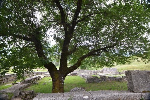 This is Dodona, the oracular shrine sacred to Zeus in Epiros, near to where Olympias (Alexander’s mu