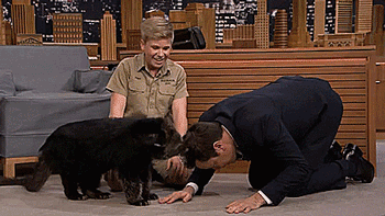 disembodied-doll:greenekangaroo:thatsthat24:tastefullyoffensive:Steve Irwin’s 13-year-old son, Rober