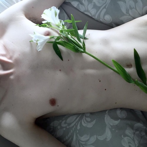 🐧 You Must Be Gay+ To View This Blog*