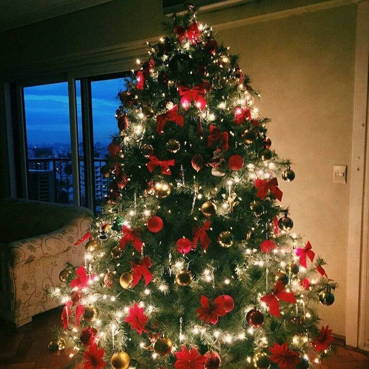 Christmas wonderland