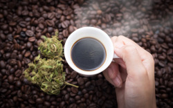 thatsgoodweed:  Kush &amp; Coffee