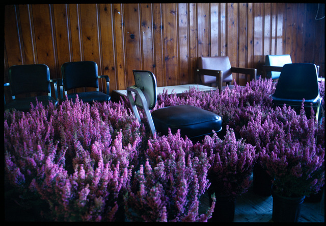 dappledandmisty:  afarewelltostellablue:  punk-arts:  28,000 Potted Flowers Installed