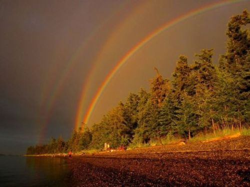 randomguy2015: sharpnote: godotal: omgbuglen: Quadruple Rainbow What does this meaaaaan? Something s