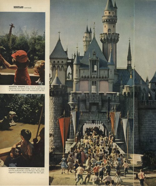 DisneylandLife, August 15, 1955Photography by Loomis Dean and Allan Grant