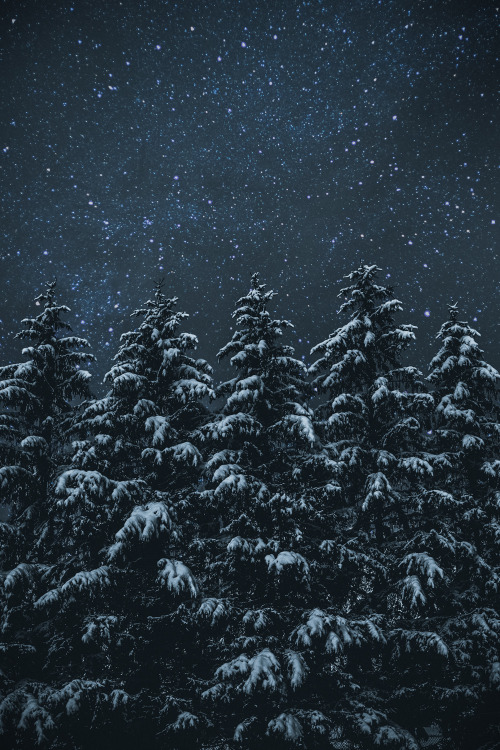sleepingwiththewitch: lensblr-network: Snow &amp; Stars - a composite of two images, stars and p