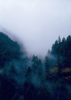 eartheld:  mostly nature