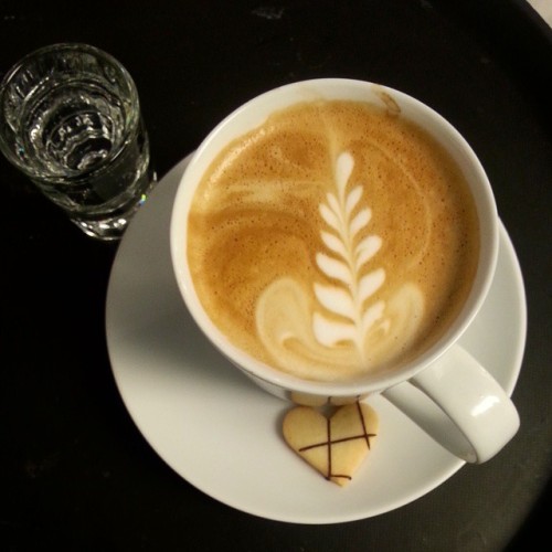 Latte art at Sofa Cafe. #latteart adult photos