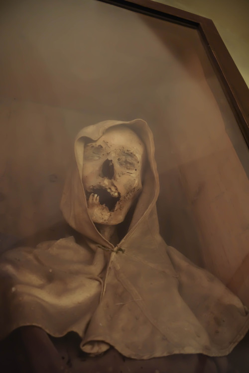 allthesaintsyoushouldknow:  The Carmelite Monastery of San Ángel Mexico City, Mexico  I’m currently working on a full piece for Atlas Obscura on theses guys but I couldn’t wait to share the photos. These are naturally occurring mummies on display