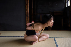 The Art Of Kinbaku