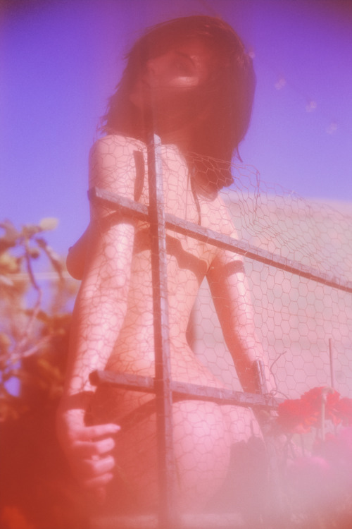 keslertran:  “Eden” 