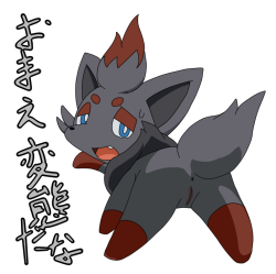 lucariofan97:  Female zorua by request 