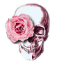 alilmusebundle