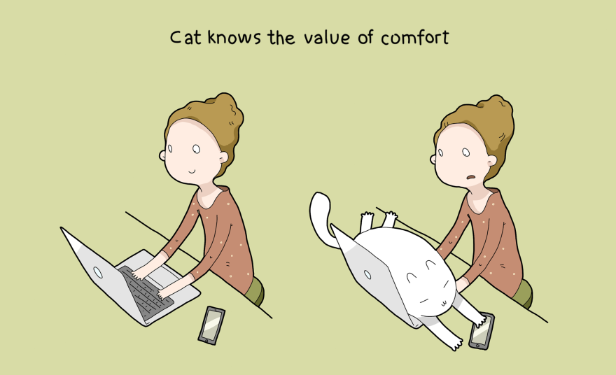 boredpanda:    10 Benefits Of Having A Cat  