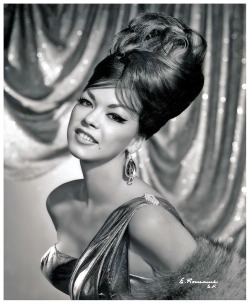 1960s Big Hair Porn - 1960 Hair Porn Photo Pics