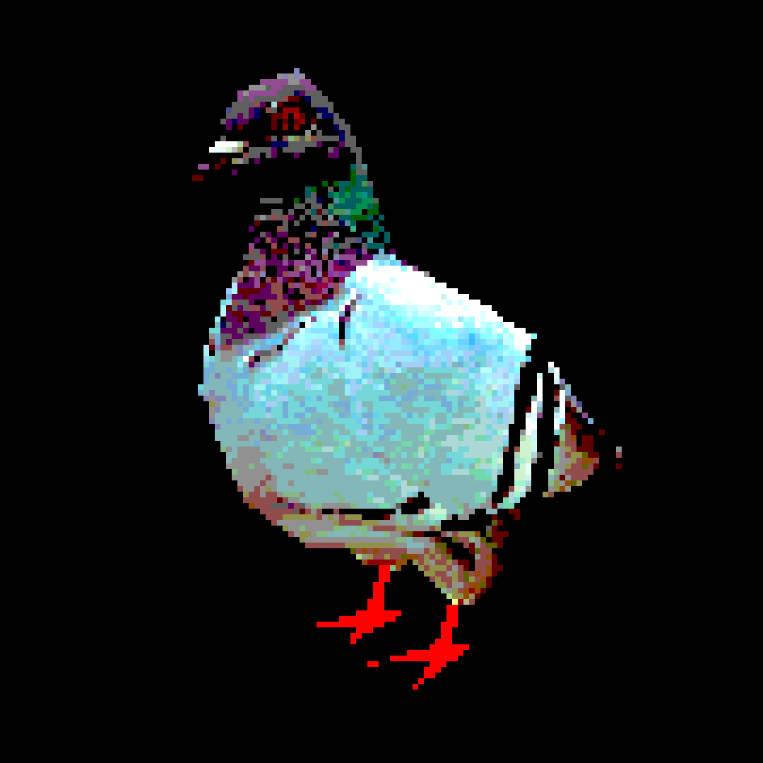 pigeons are cool