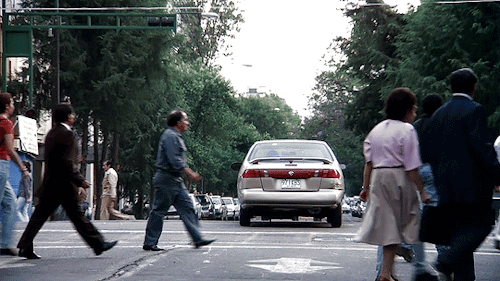 helenspreference:    At the time, I thought there were more important things than being with you and your mom. I wanted to set the world right, and then share it with you. Amores Perros (2000), dir. Alejandro González Iñárritu