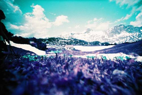 lomographicsociety: 50 LomoChrome Purple Photos with PizzazzSpoilt for choice we’ve picked 50 popula