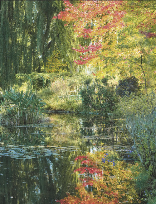 outdoor & art - Fondation Claude Monet, Giverny