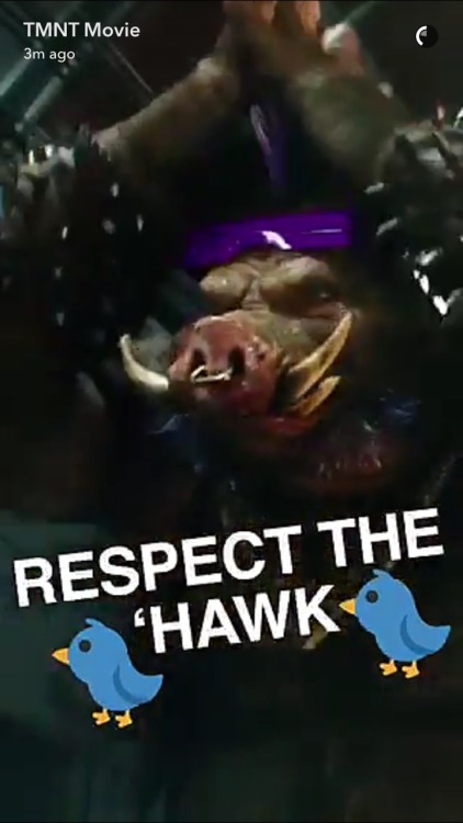 capril: Bebop’s and Rocksteady’s snapchat story