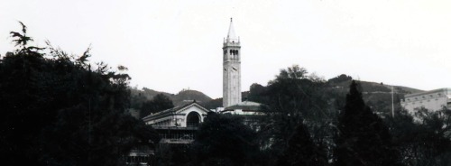 Campanile (Sather Tower) and Doe Memorial Library, Biological Sciences Building on the Right, U