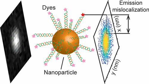 Nanoparticles can help scientists brighten their research—but they also can throw off microsco